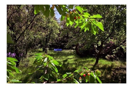 ul. Pilicka, Wierzbno, Mokotów, Warszawa, mazowieckie