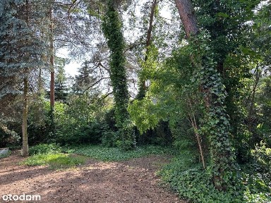 Radość, Wawer, Warszawa, mazowieckie