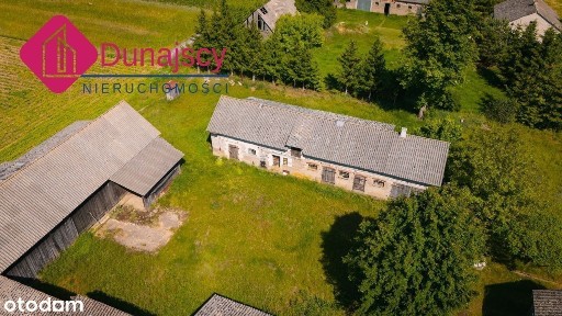 Siedlisko w Mdzewie pod Mławą, budynki gospodarcze plus dom!