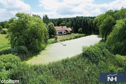 Polski Konopat, Świecie, świecki, kujawsko-pomorskie