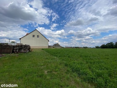 Dom wolnostojący | działka 1,2 ha | Brodziszewo