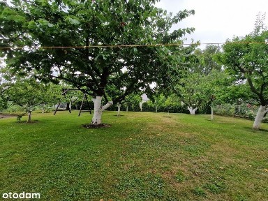 Wzgórze Św. Maksymiliana, Gdynia, pomorskie