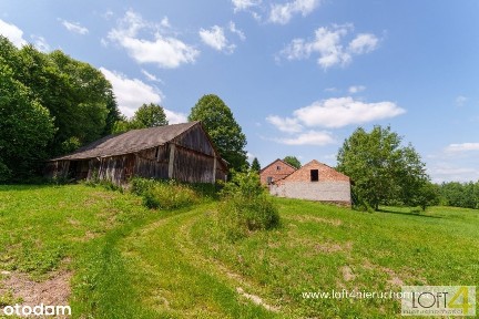 Grudna Kępska - spokojne miejsce do życia.