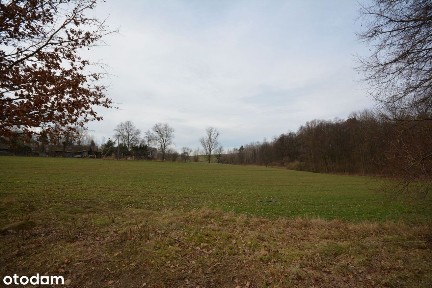 Siedlisko Osowa, 1,5ha, Cicha lokalizacja