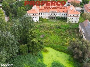 Pałac z XVII wieku, 4100 m2, park 10 ha, Małuszów