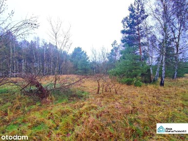 Garnek, Kłomnice, częstochowski, śląskie