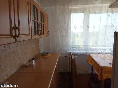 Mieszkanie z działką 692 m2