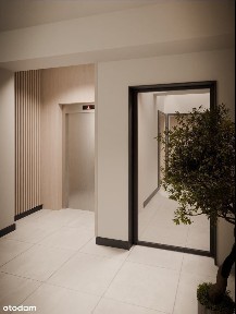 pl. Tadeusza Kościuszki, Bocianowo, Bydgoszcz, kujawsko-pomorskie