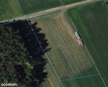 Ługi-Radły, Przystajń, kłobucki, śląskie