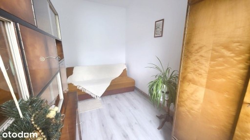 Śródmieście, Gorzów Wielkopolski, lubuskie