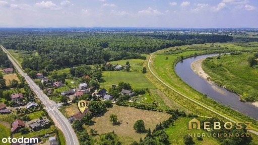 Ispina | Wyjątkowa Rezydencja / Stara Leśniczówka - 316 m2 / 1.09 ha !