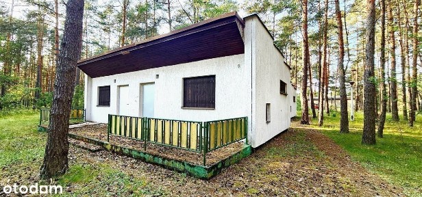 Urocze, leśne domki letniskowe przy jeziorze! Kucoby!