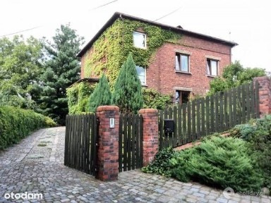 Bezpośrednio wynajem/sprzedaż dla firm/prywatnie, Katowice Kostuchna