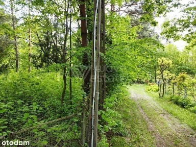 Działka z domem letniskowym 200 M od rzeki