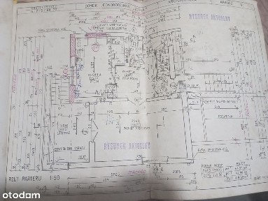 Dom z dużą działką.