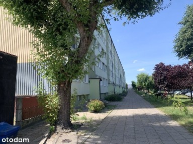 mieszkanie na parterze Koło woj wlkp