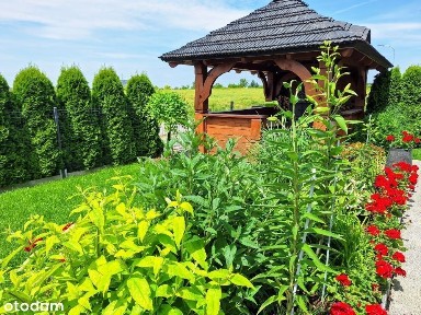 Turów, Żórawina, wrocławski, dolnośląskie