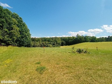 Przestronny dom z 7 pokojami i bud.gospodarczym