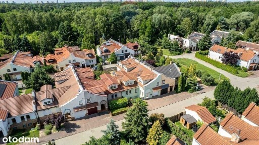 Adama Skałkowskiego, Różany Potok, Stare Miasto, Poznań, wielkopolskie