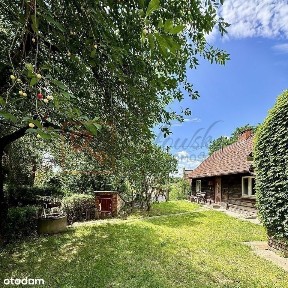 Nowosielce 14 arów, dom z wizją. Tylko 160 tysięcy