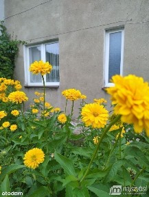 Płoty - Mieszkanie 2 Pokojowe W Centrum Miasta