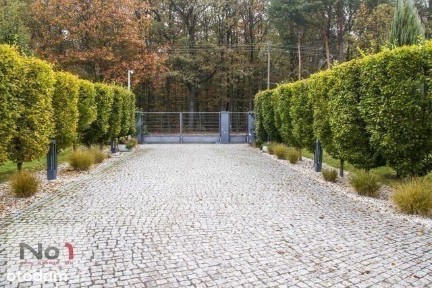 Puszczykowo, poznański, wielkopolskie