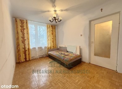 Włodawa, włodawski, lubelskie