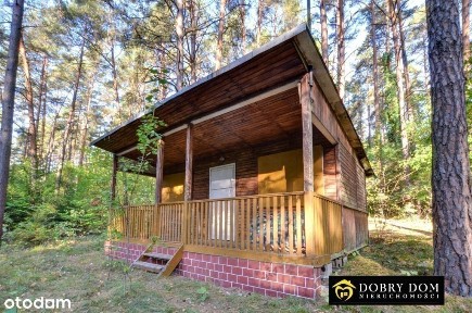 Działka rekreacyjna z domkiem w lesie! Giby