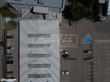 556 m² parter - powierzchnia magazynowo-handlowa