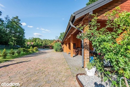 Dom w lesie - cisza, natura, prywatność, relaks