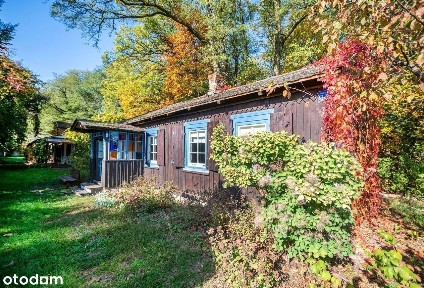 Malownicze siedlisko pod Łowiczem