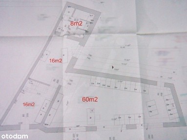 Baildona, Gliwice, śląskie