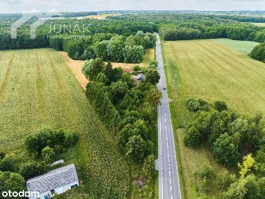 Siedlisko blisko lasu i zalewu