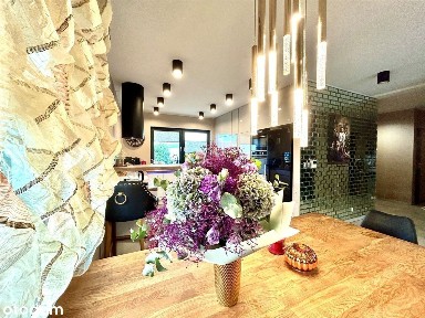 nowy parterowy dom z pompą cceipła i klimatyzacją