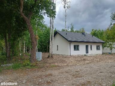 Lutomiersk, pabianicki, łódzkie