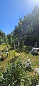 Siedlec Duży, Koziegłowy, myszkowski, śląskie