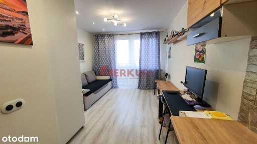 al. Dębowa, Borek, Krzyki, Wrocław, dolnośląskie