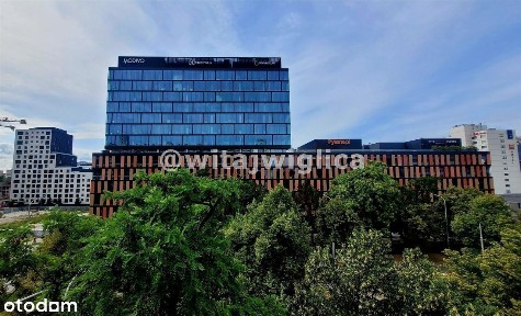 Kamienica, top lokalizacja - Centrum Południowe