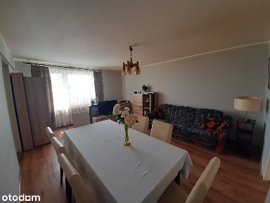 Dom + siedlisko przy lesie, Seroczki, działka 3029m2