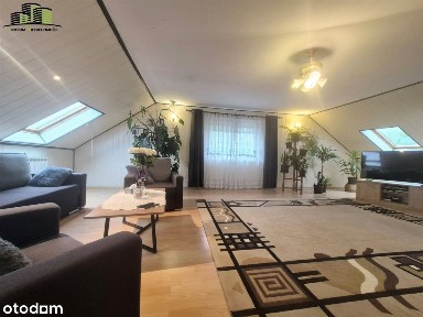 Z potencjałem, pod działalność lub do zamieszkania