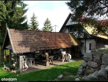 Bajkowe siedlisko z linią brzegową - Warmia i Mazu
