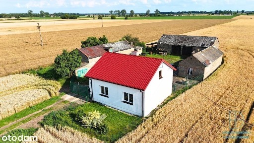 Dom z dużą działką 1,05 ha - Franki, gm. Krośniewice