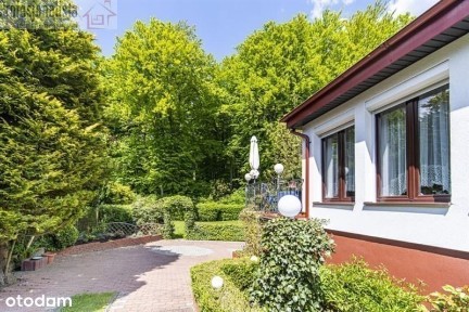 ul. Żywiczna, Witomino-Radiostacja, Gdynia, pomorskie