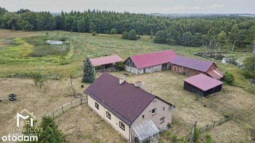 Wyjątkowe siedlisko na Warmii ze stawem - 1 ha