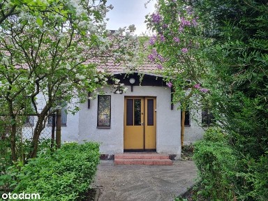 Dom do remontu na dużej działce - Suchy Bór