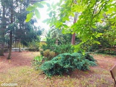 Józefów, otwocki, mazowieckie