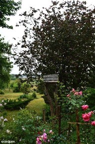 Dom - 5 km od Dobrego Miasta