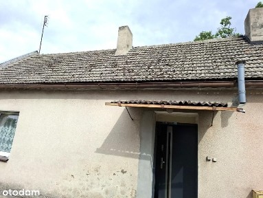 Dom, 67 m², Wilczyna