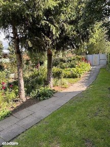 tanie mieszkanie koło Wrocławia 2750 metr- cena do negocjacji