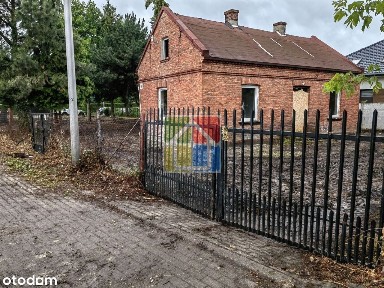 ul. Podleśna, Płock, mazowieckie